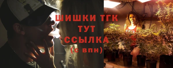 индика Вязники