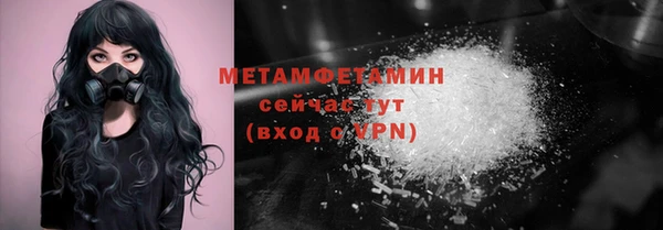 прущая мука Вяземский