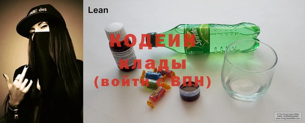 индика Вязники