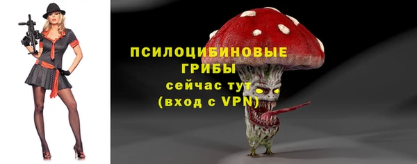 МДПВ Волосово