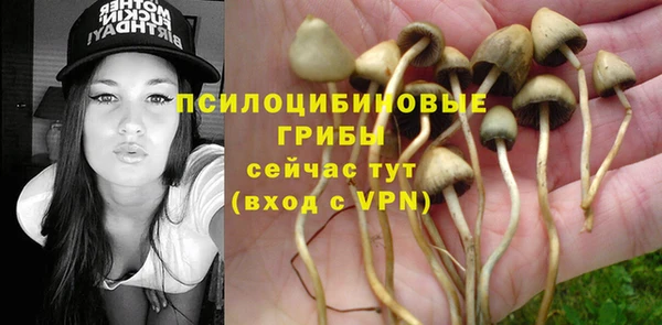 прущая мука Вяземский