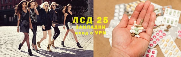 индика Вязники